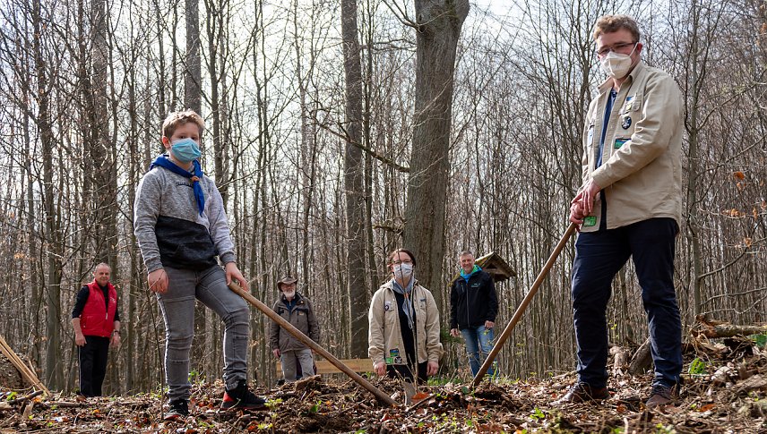 Bild: F&uuml;nf neue Eichen f&uuml;r den Stadtwald