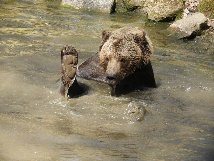Bild: Fr&uuml;hlingserwachen im B&auml;renpark Worbis