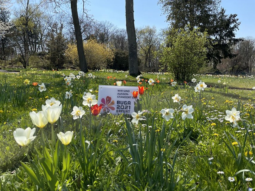 Bild: Saisinauftakt im Rosarium Sangerhausen 
