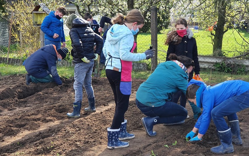 Bild: Gem&uuml;se-Ackerdemie in Hohenebra