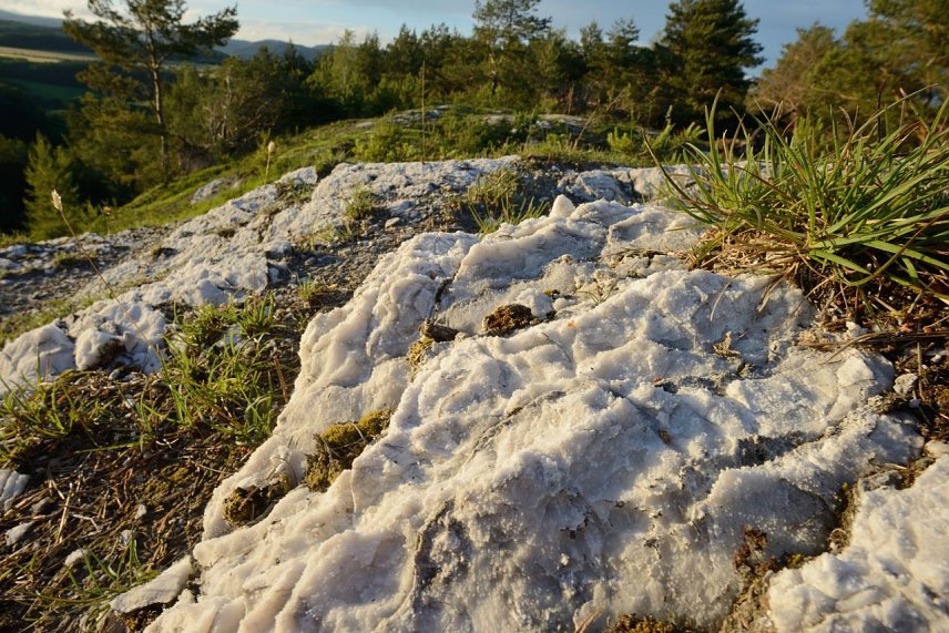 Bild: Bizarr, ungew&ouml;hnlich und sch&ouml;n - der Landschaftspflegeverband sucht die sch&ouml;nsten Bilder aus dem Gipskarst