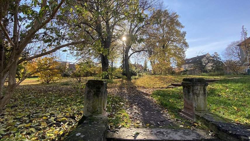 Bild: Vor der Gottesackerkirche in Bad Langensalza