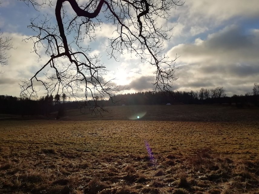 Bild: In Sophienhof zeigte sich das Wetter heute morgen noch von seiner angenehmen Seite
