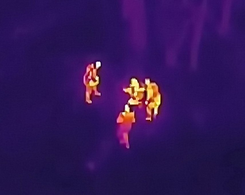 Bild: Bei der Suche half auch der Einsatz einer Drohne