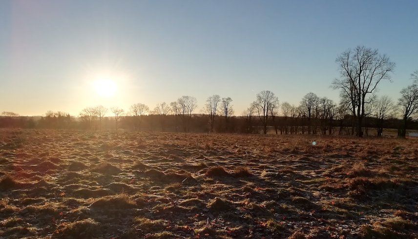 Bild: Nachts Frost, tags&uuml;ber Sonne