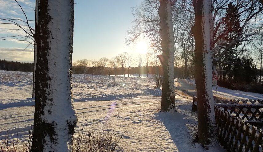 Bild: Winterstimmung im Harz