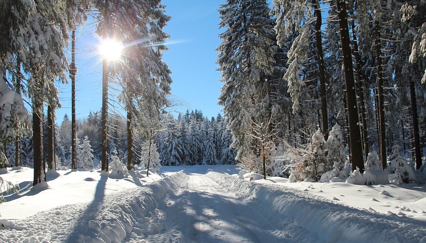 Bild: Derzeit zeigt sich der Winter in Th&uuml;ringen zumindest in den Hochlagen von seiner sch&ouml;nen Seite: Waldwandernde sollten aber die Rutsch- und Gl&auml;ttegefahr auf verschneiten Waldwegen nicht untersch&auml;tzen