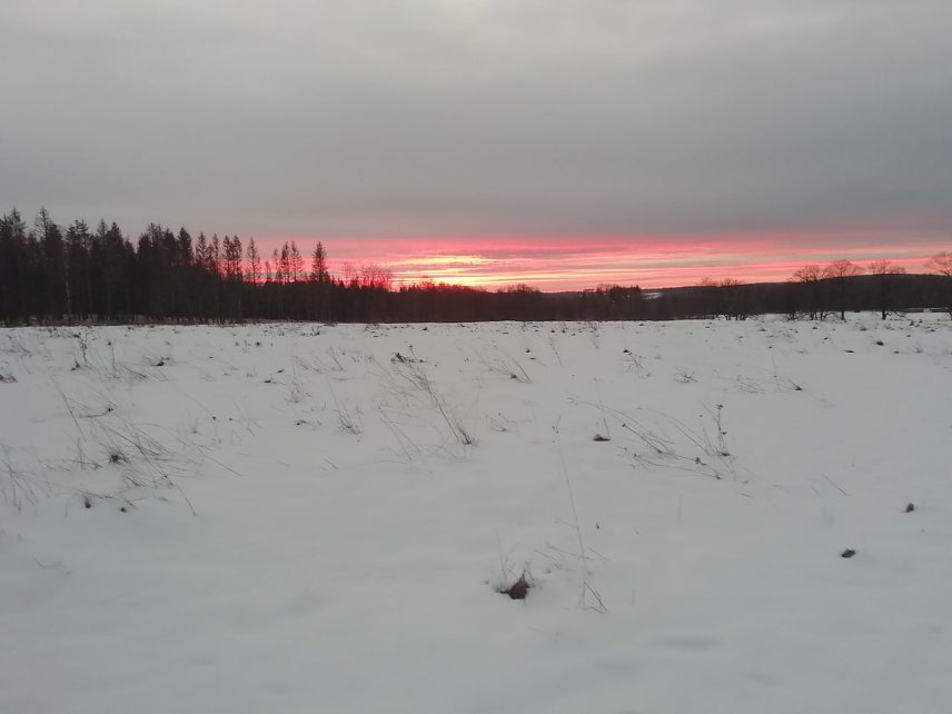 Bild: Frostig frisch konnte man heute morgen den Sonnenaufgang in Sophienhof bewundern