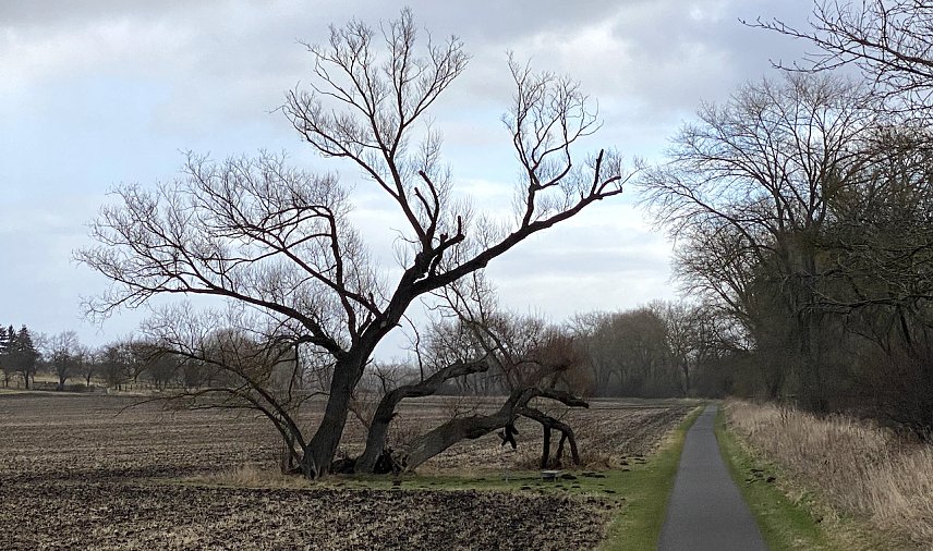 Bild: Das st&uuml;rmische Wetter setzt sich fort