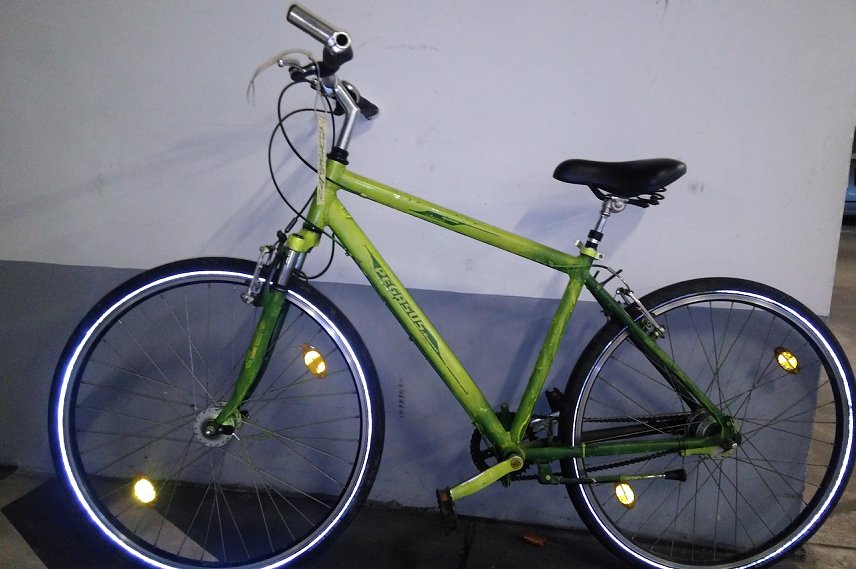 Bild: Ein gr&uuml;nes Fahrrad Pegasus wartet auf seinen Besitzer