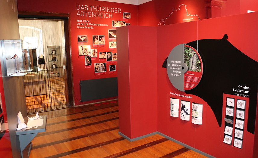Bild: Blick in die Ausstellung "Heimliche Nachbarn"