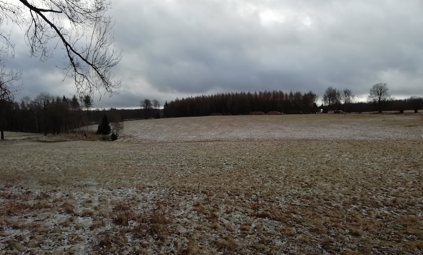Bild: St&uuml;rmische Winde bei null Grad heute Morgen im oberen Harz