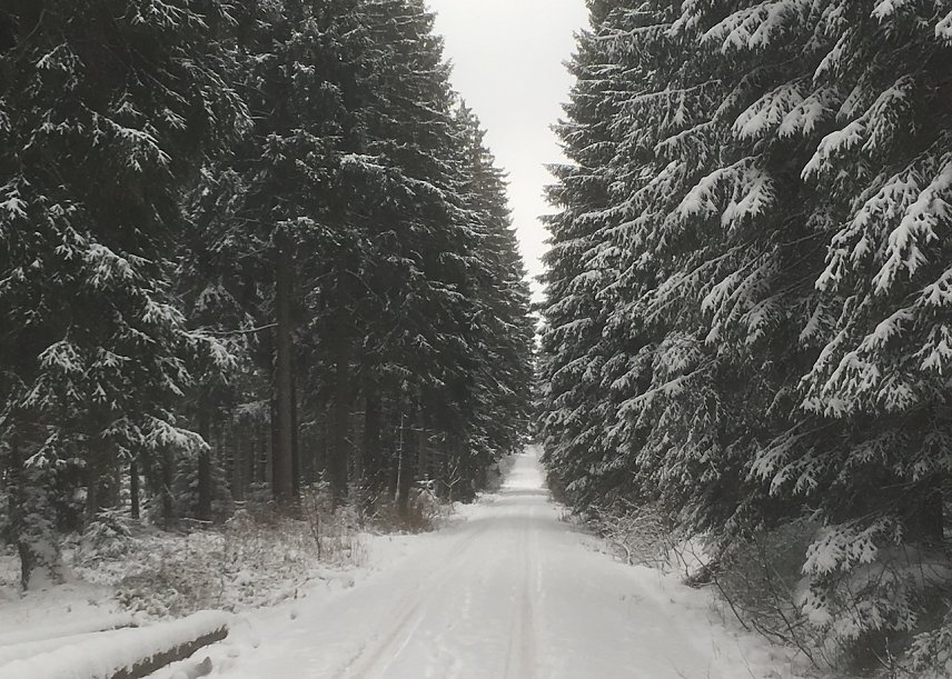 Bild: Er ist wieder da: der Winter!