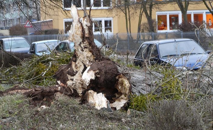Bild: Umgest&uuml;rtzt