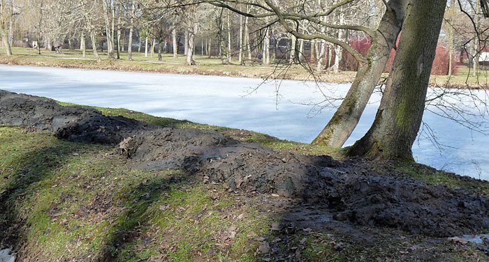 Bild: Entschlammung M&uuml;hlwipper