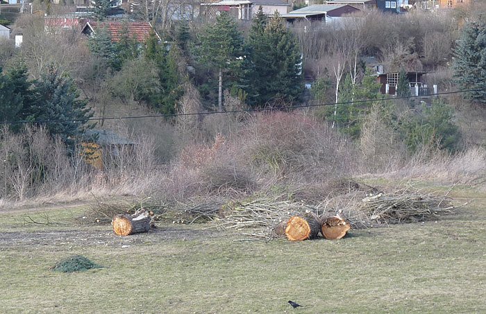 Bild: Winterwetter 2