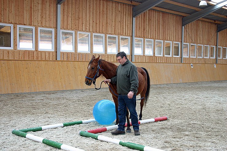 Bild: Lernen in der Reithalle