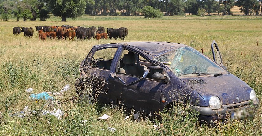 Bild: Unfall heute Mittag bei Wolkramshausen