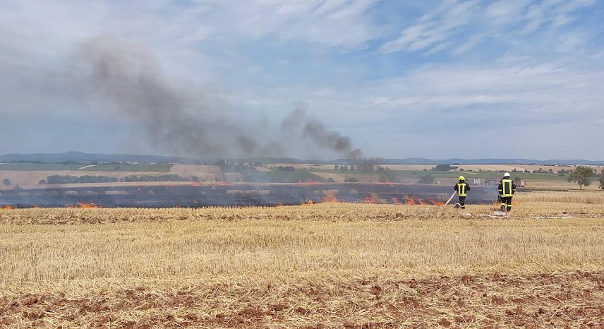 Bild: Fl&auml;chenbrand bei Trebra