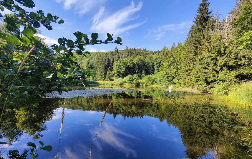 Bild: Bei Neustadt/Harz