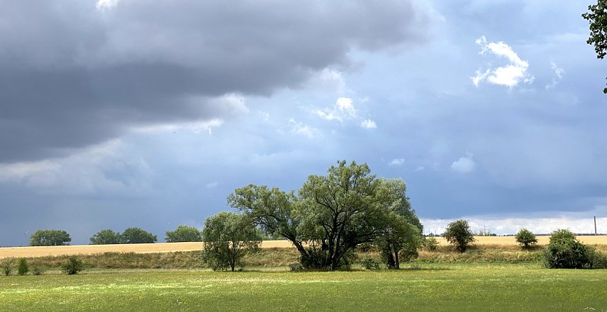 Bild: Weiter ruhiges Sommerwetter