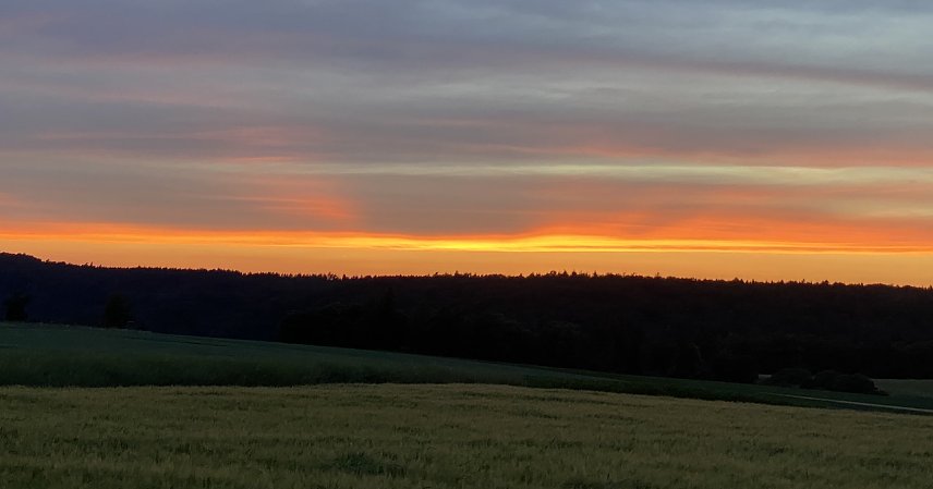 Bild: Weiter viel Sonne und kein Regen