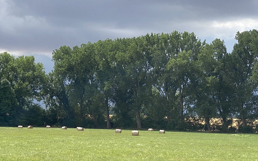 Bild: Die Wetteerstimmung bleibt gewittrig