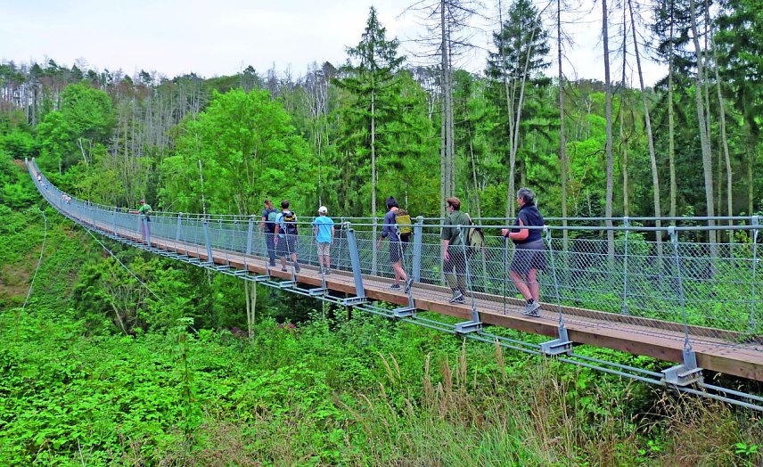 Bild: Teilnehmende auf der H&auml;ngeseilbr&uuml;cke in der Hohe Schrecke