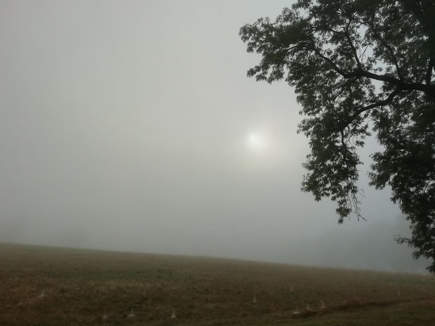 Bild: In Sophienhof mutete das Firmament heute morgen schon beinahe herbstlich an