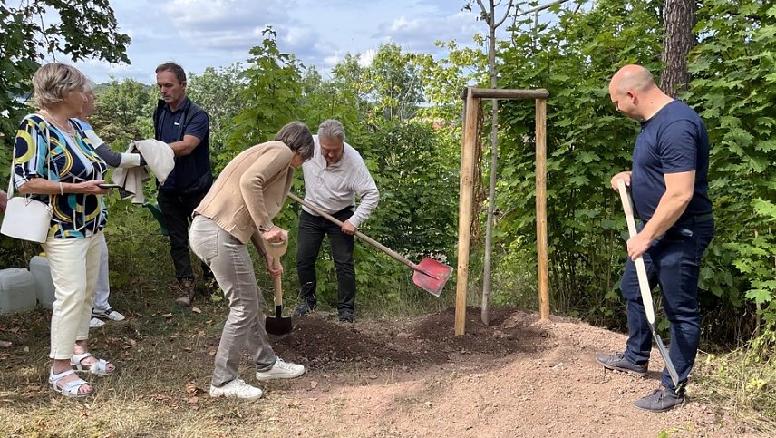 Bild: Kirchenprojekt in Ellrich