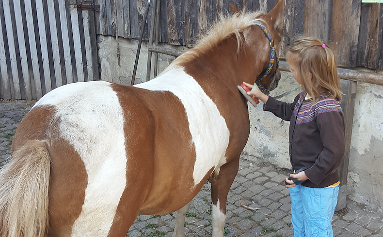 Bild: Mit Pony Sternchen ging es durch Neustadt in die Natur