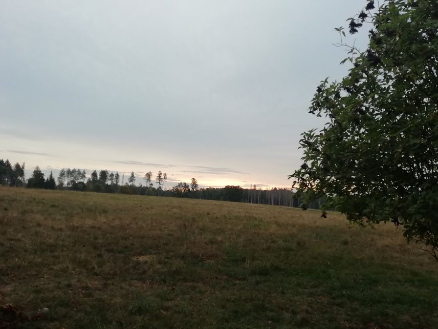 Bild: Ein wolkenverhangener Morgen begr&uuml;&szlig;te heute die Menschen im S&uuml;dharz