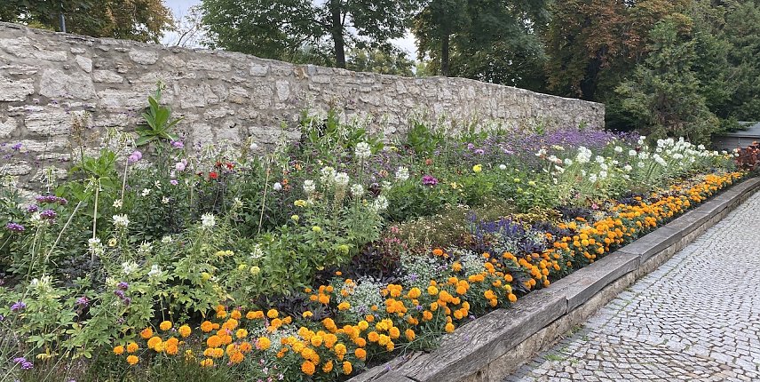 Bild: Im Arboretum Bad Langensalza