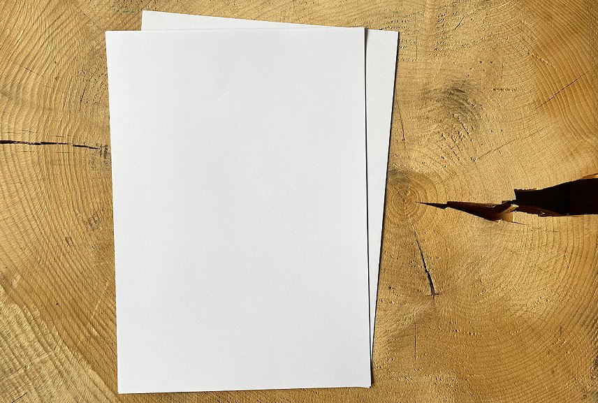 Bild: Ohne Holz kein Papier. Die Zellulose, neben Lignin wichtigster Bestandteil von Holz, ist Ausgangspunkt der Papierproduktion. 