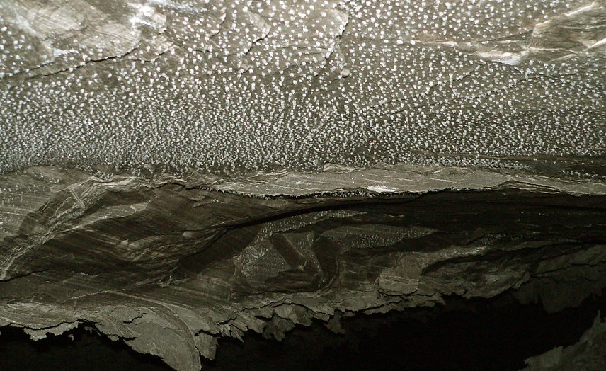 Bild: Kristalldecke in der Barbarossah&ouml;hle (Archiv)