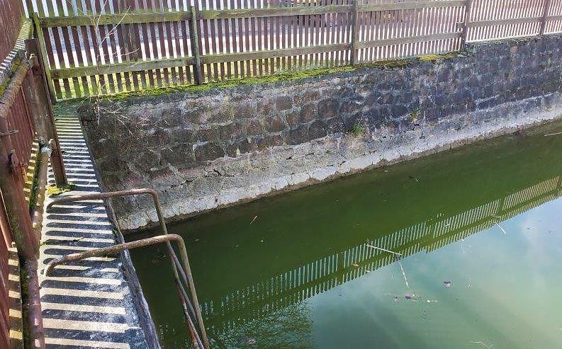 Bild: L&ouml;schwasserteich in Steigerthal