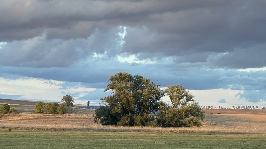 Bild: Es wird immer herbstlicher