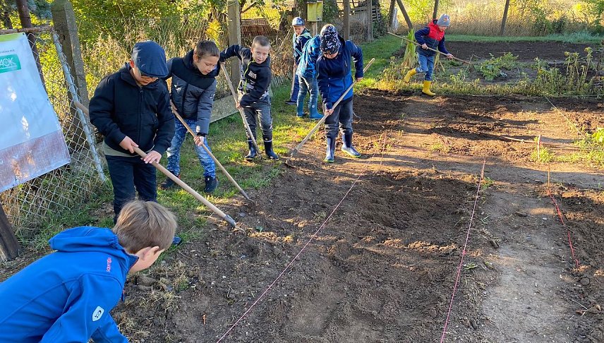 Bild: Schulgartenprojekt in der Staatlichen Grundschule Hohenebra