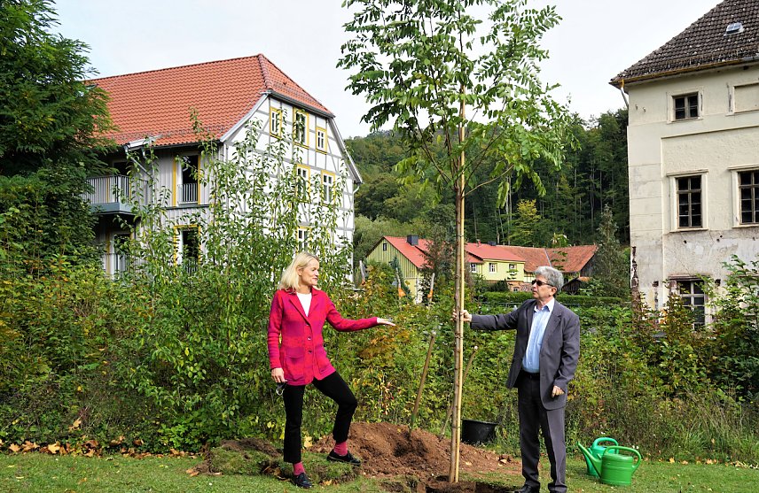 Bild: In Neustadt wird wieder gepflanzt