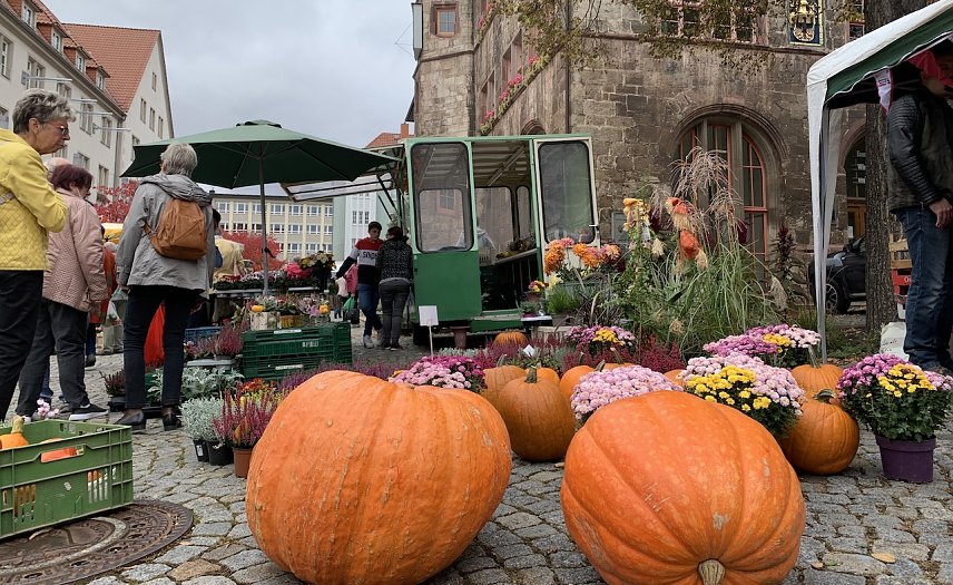 Bild: Zwiebel- und K&uuml;rbismarkt vor dem Rathaus