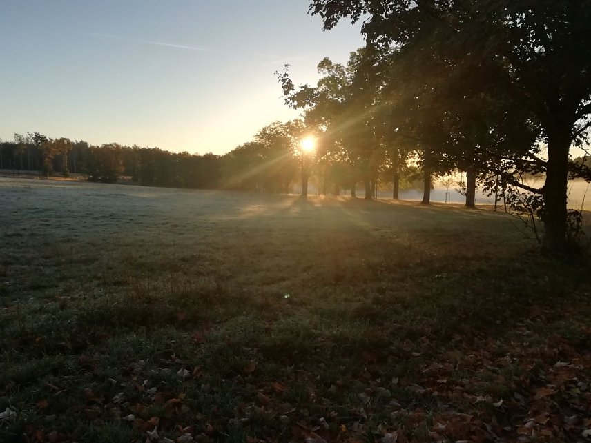 Bild: Null Grad und Sonnenschein - so zeigte sich der Oktober heute in Sophienhof