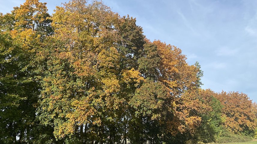 Bild: Mit dem sonnigen Herbstwetter ist es erst einmal vorbei
