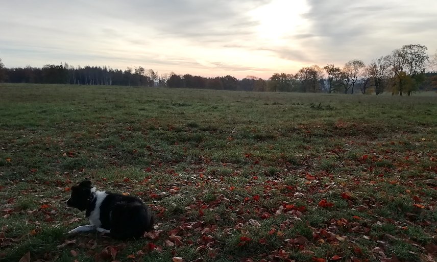 Bild: Heute Morgen in Sophienhof: 1 Grad, windstill, leichte Bew&ouml;lkung 