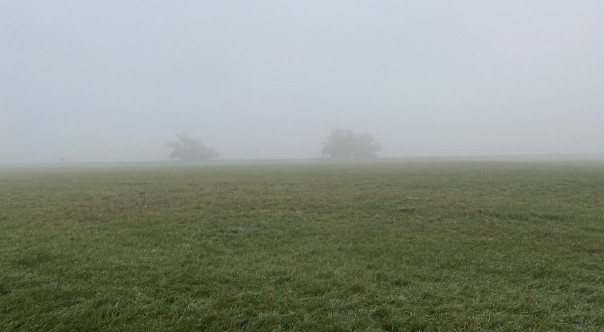 Bild: Vielerorts in Th&uuml;ringen nachts und am Morgen neblig