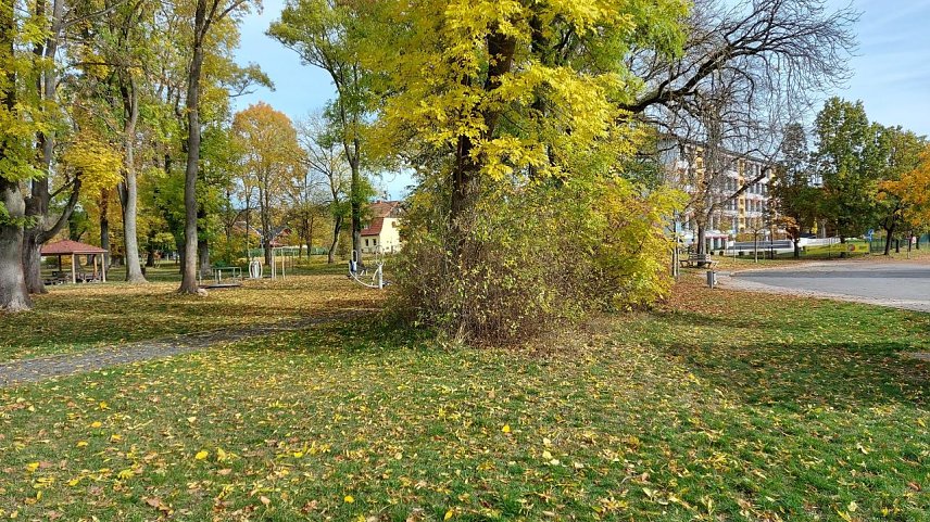 Bild: Blick in den Heinepark auf die Regelschule
