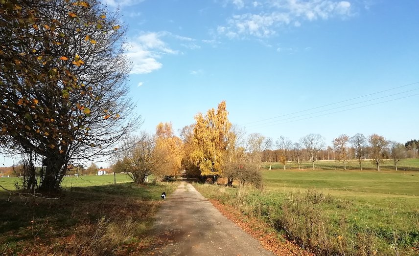 Bild: Sophienhof heute unter sch&ouml;nstem Sonnenschein bei morgendlichen Temperaturen von 15 Grad, die zum wandern einladen