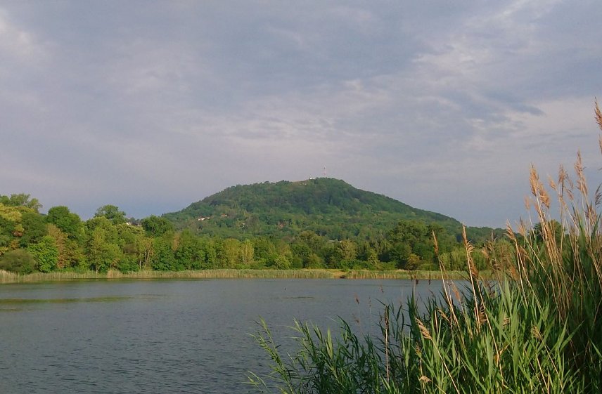 Bild: Der Frauenberg bei Sondershausen