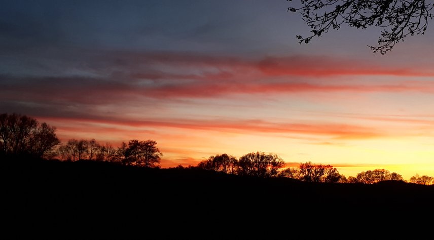 Bild: Sonnenuntergang heute Abend in Neustadt