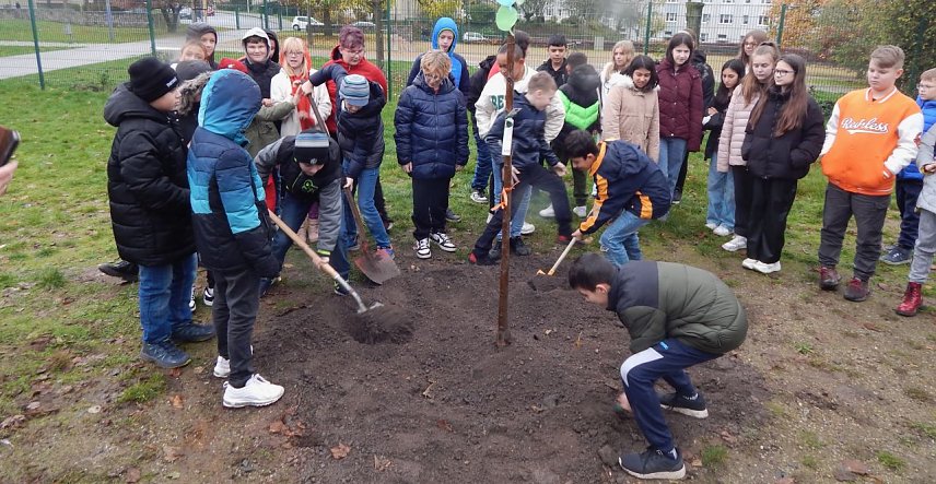 Bild: An der Petersbergschule wurde gestern eine Sommerlinde gepflanzt