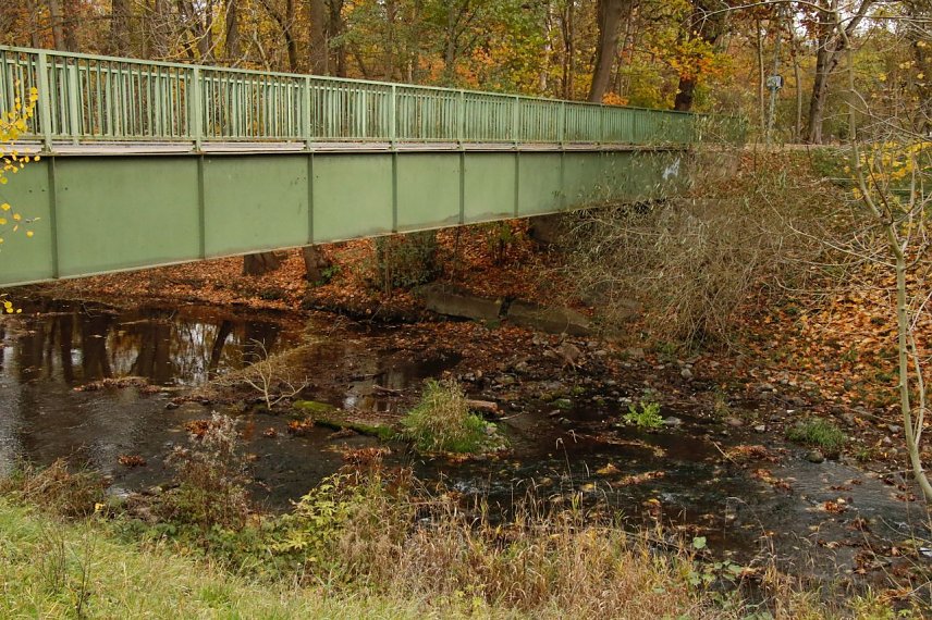 Bild: Niedrigwasser in der Zorge, 09. November 